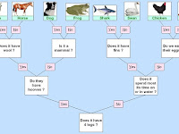 Branch Diagram Branch Diagram