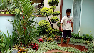Tukang Taman di Jakarta Selatan,Jasa Pembuatan Taman di Jakarta Selatan,Tukang Taman Murah dan Profesional di Jakarta Selatan Tukang Taman di Jakarta Selatan,Jasa Pembuatan Taman di Jakarta Selatan,Tukang Taman Murah dan Profesional di Jakarta Selatan