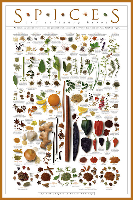 Spice poster