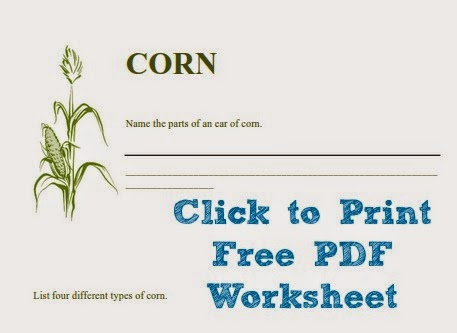 Free Printable Lesson about Corn (Download and print it.)