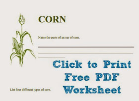 Free Printable Lesson about Corn (Download and print it.)