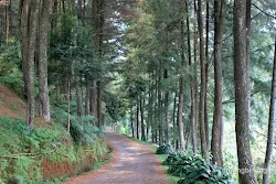 curug nangka bogor