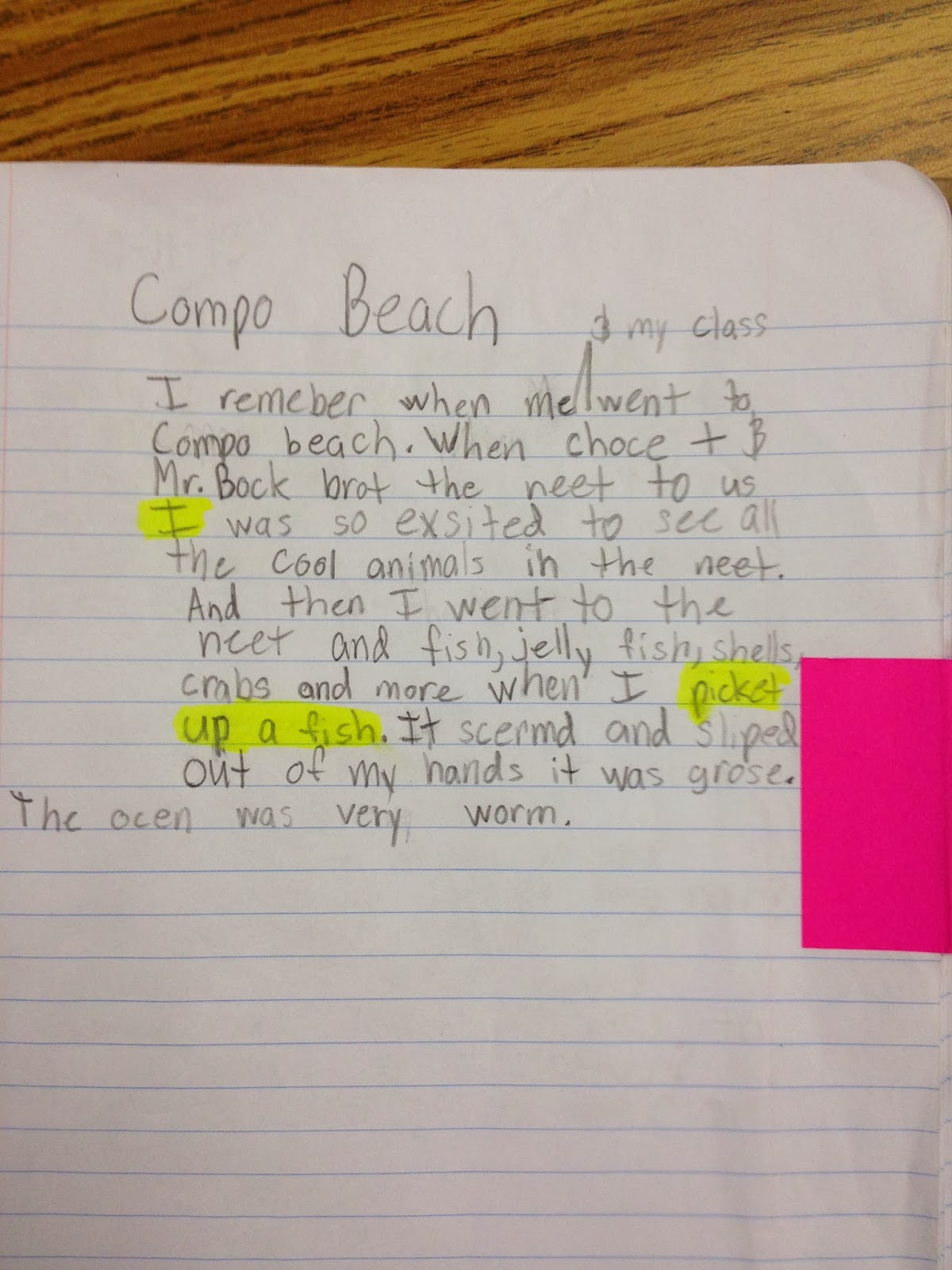 Writing in 2nd grade Cycle 3 Writer's Notebook