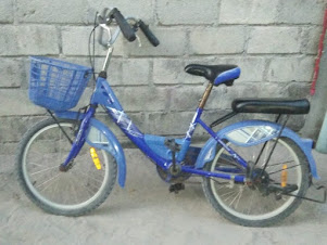 These type of cycles are popular on tiny Omadhoo island.