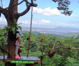 10 Tempat Wisata Favorit yang Wajib di Kunjungi di Lampung 10 Tempat Wisata Favorit yang Wajib di Kunjungi di Lampung
