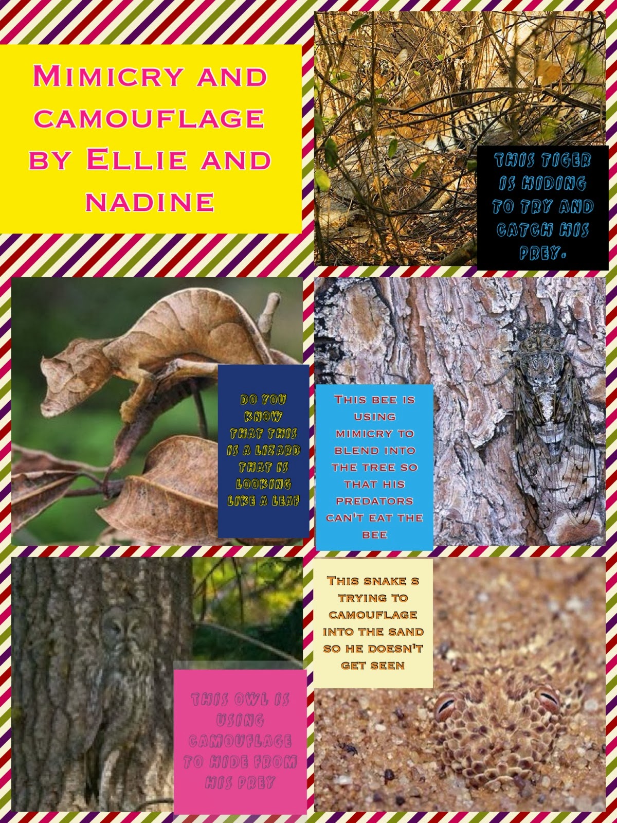 What does mimic mean picture