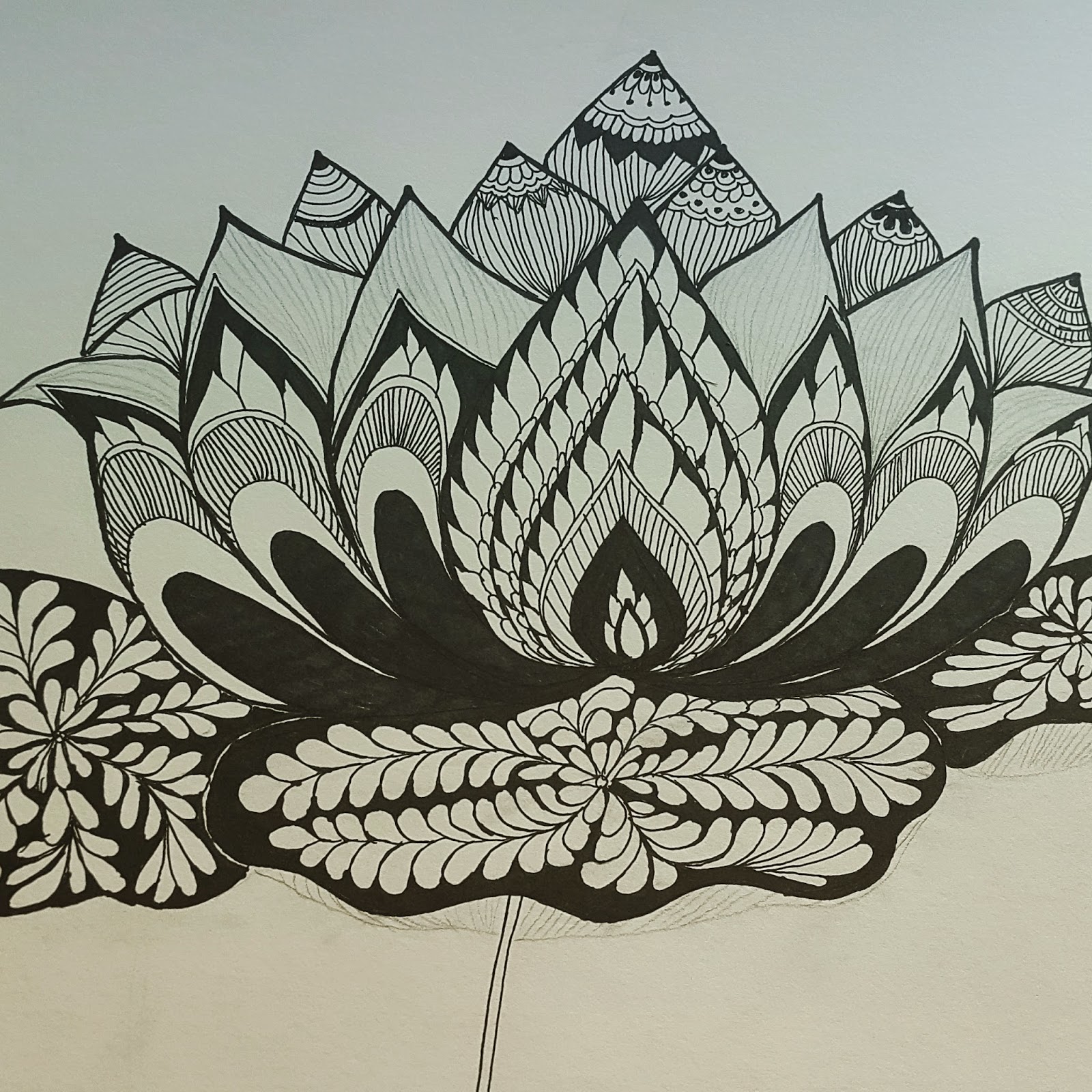 lotus doodle