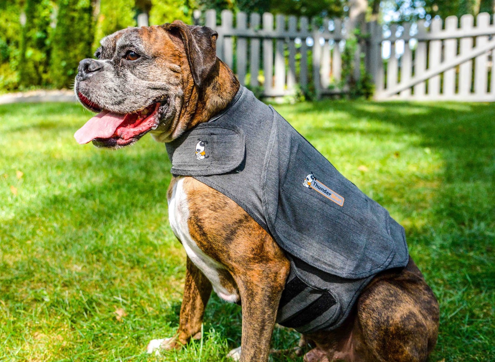 Theresa's Mixed Nuts ThunderWorks Offers the Gift of Relaxation