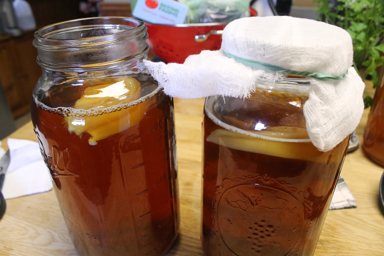 Next Gen House homebrew kombucha making the first batch