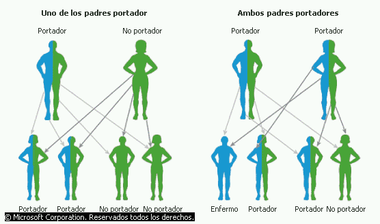 diabetes mellitus hereditaria y causas de sordera