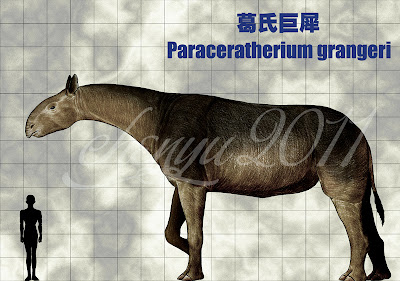 perissodactilos gigantes Paraceratherium