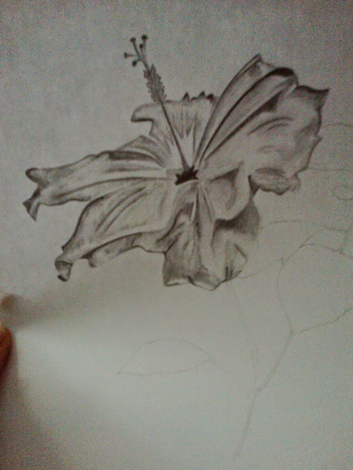 Gambar 25 Contoh Sketsa Gambar Bunga Mudah Digambar Pencilsandpaint