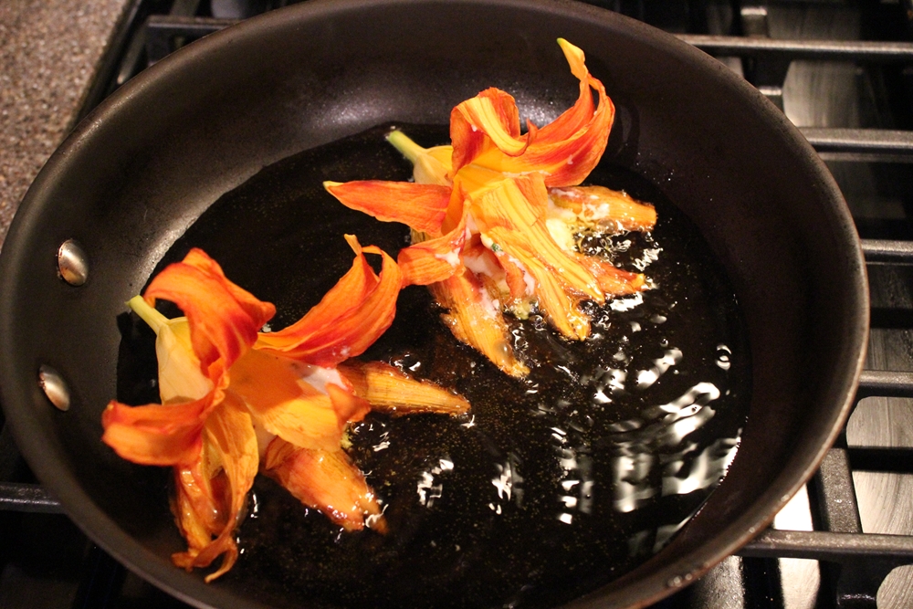 ItalianFusion Fried Daylily Flowers with Ricotta
