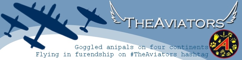 The Aviators Club