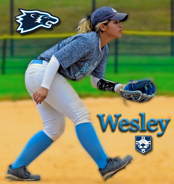 Wesley Wolverines Fastpitch Softball USA SOFTBALL APP