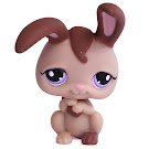 Littlest Pet Shop Special Rabbit (#1089) Pet