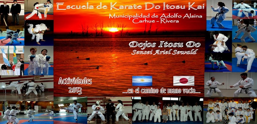 karate actividades 2013