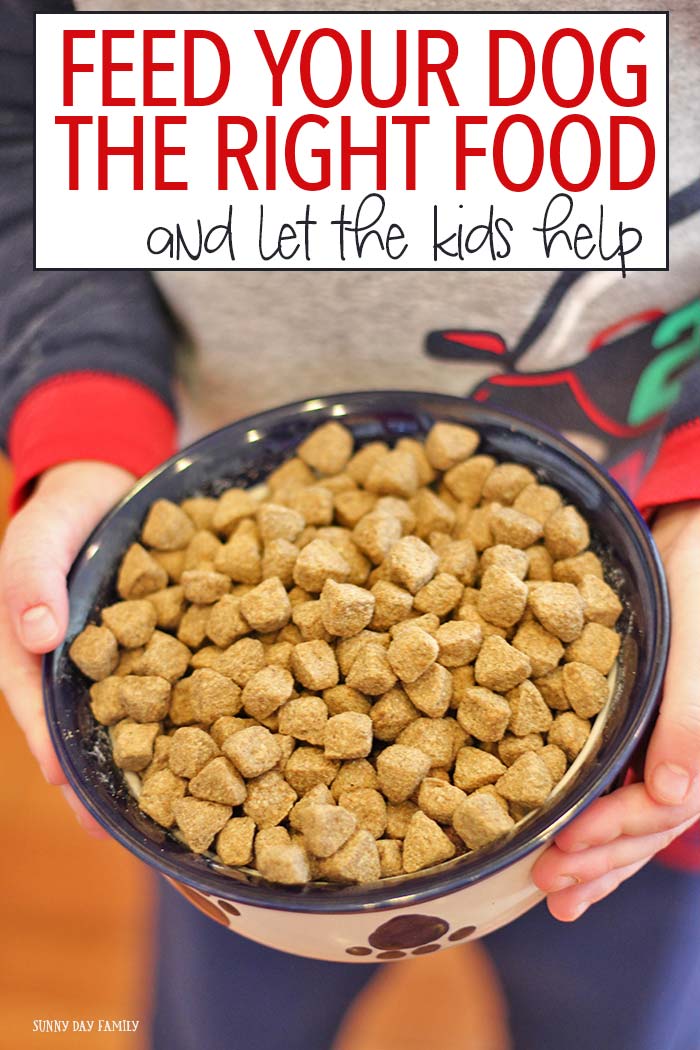 Feed Your Dog the Right Food (and Let the Kids Help) WellnessPet