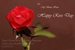 Happy Rose Day 2017 Images & Wallpaper Happy Rose Day 2017 Images & Wallpaper