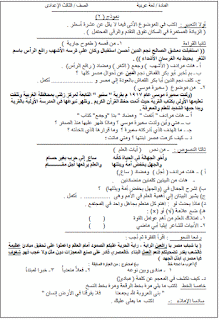 نموذج امتحان استرشادى فى اللغة العربية للصف الثالث الإعدادى الترم الاول 2017 2