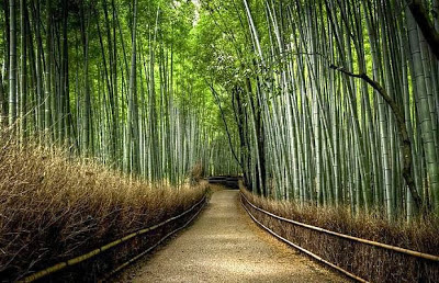 Jalan Bambu, Jepang