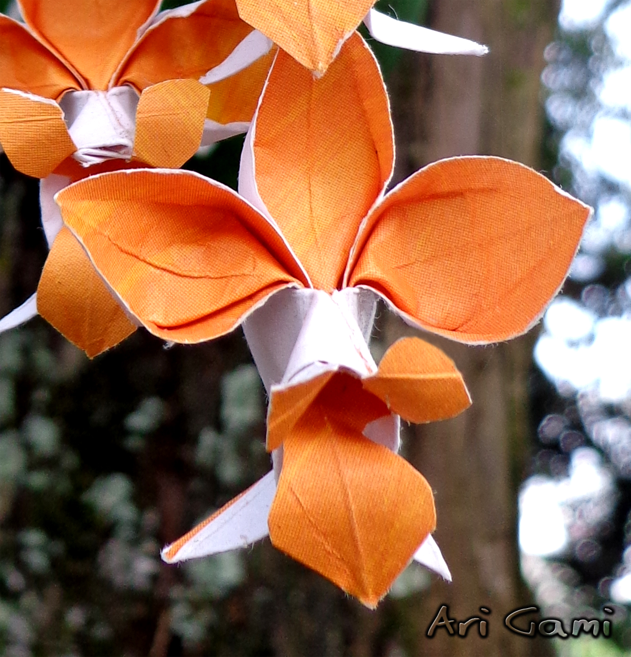 13+ Bunga Anggrek Dari Kertas Origami Galeri Bunga HD