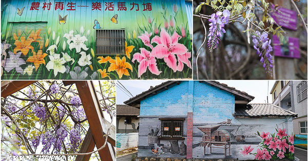 台中新社|馬力埔彩繪社區|在地特色彩繪巷|紫藤花 台中新社|馬力埔彩繪社區|在地特色彩繪巷|紫藤花