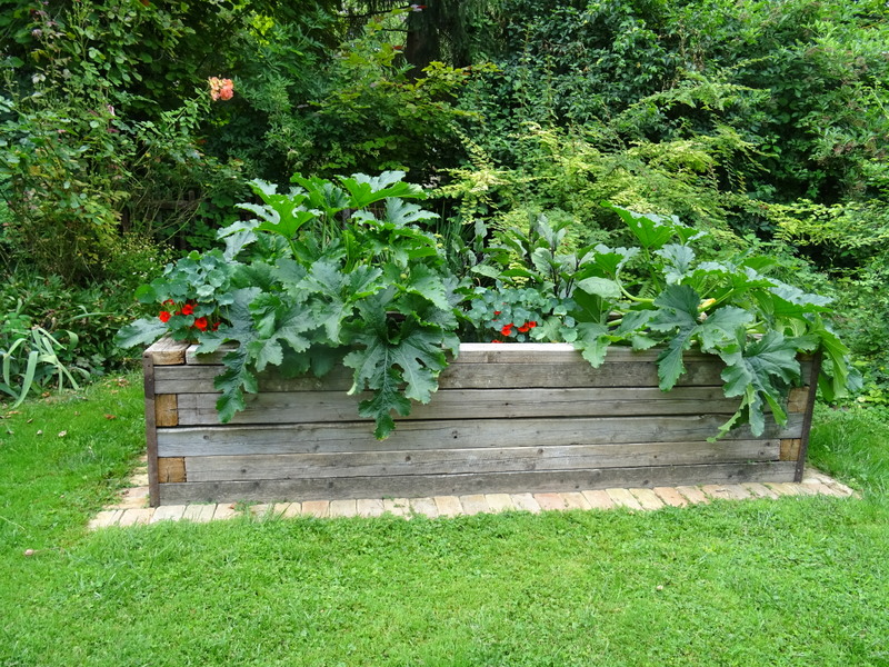 Gartenführer Rheinhessen Das Hochbeet Gärtnern auf hohem Niveau