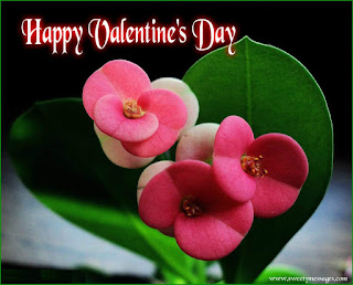 happy valentine day images flower happy valentine day images for facebook