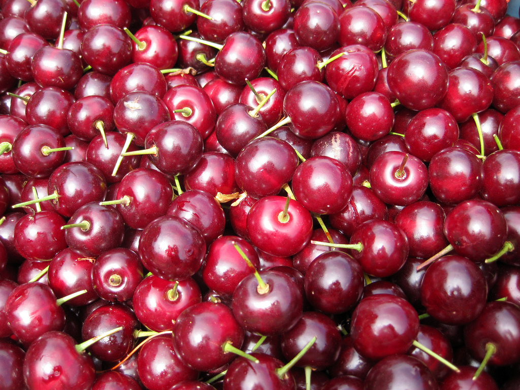 Formula Black Forest Cherry Gateau Renaissance Culinaire