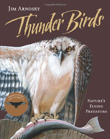 Thunder Birds
