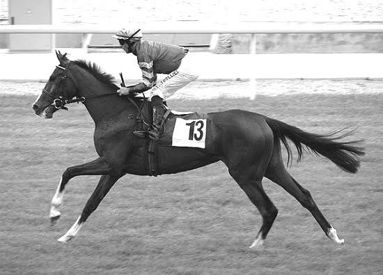 Racehorse Memorial Wall Worldwide Racehorse Memorial Wall Worldwide