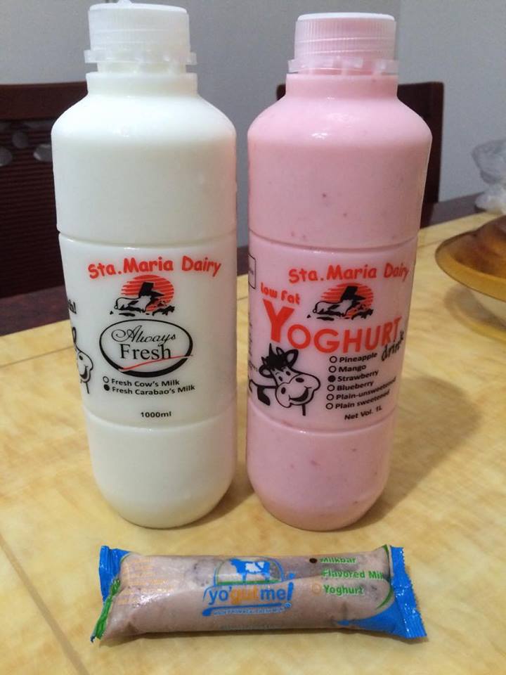 Blognigigi Invest in Yourself Fooding Aside Sta. Maria Dairy