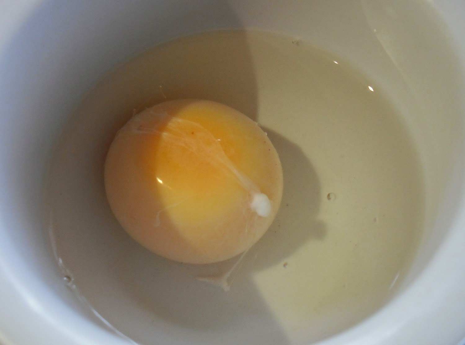 Foodycat Storing egg yolks a handy hint