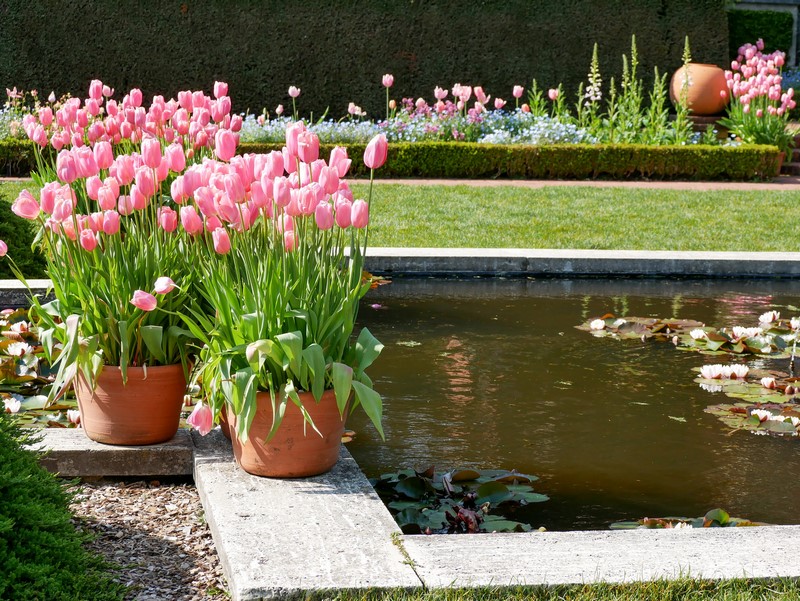 Primavera en el Jardín Filoli en California