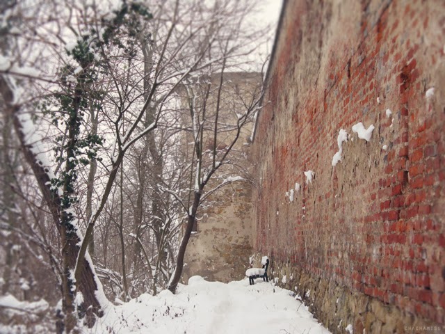 Chachamisu photo blog by Nataya Anindira: Snowy Castle Stroll. Http://chachamisu.blogspot.com Snowy winter and castle in Austria images