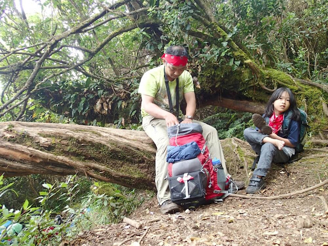 mendaki gunung gede bersama anak via gunung putri mendaki gunung gede bersama anak via gunung putri