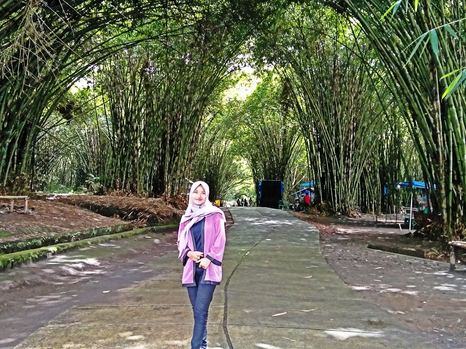 Hutan Bambu Bali View Di Kota Lumajang Jejak Tulisan Hutan Bambu Bali View Di Kota Lumajang Jejak Tulisan