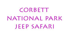 Corbett National Park Wildlife Safari