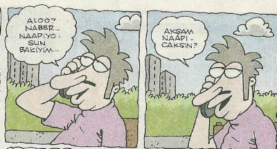 ece2.jpg