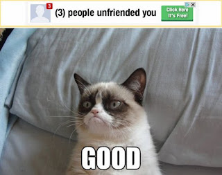 funny lolcat with angry face