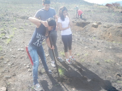 environmental volunteer reforestation volunteer
