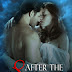 Review - After the Storm by Claudy Conn 