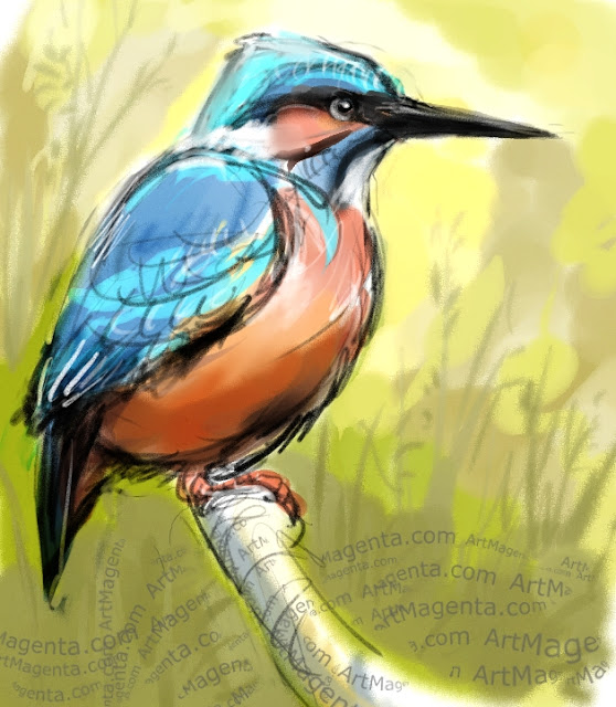 Kingfisher sketch painting. Bird art drawing by illustrator Artmagenta.