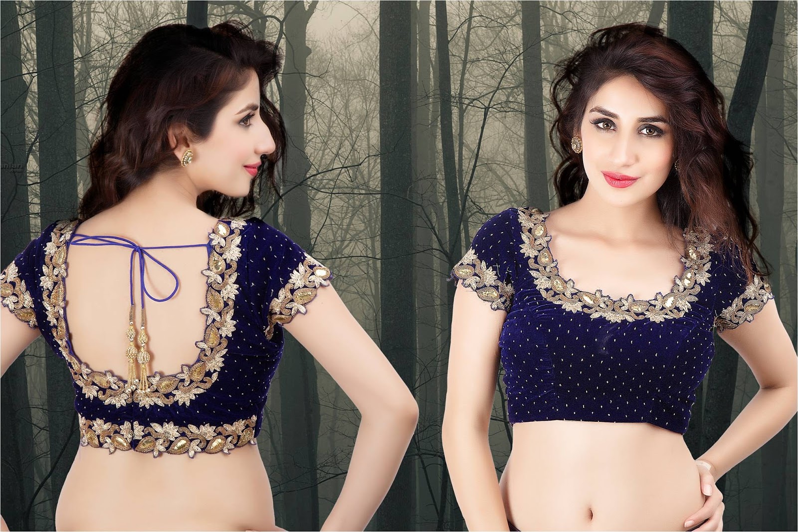 Blouse Design Collection