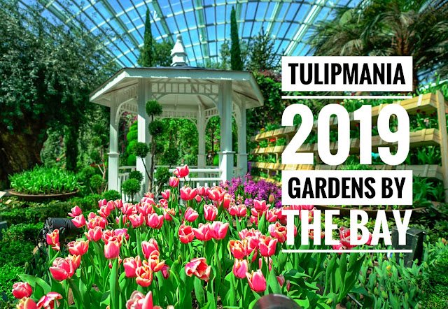 Tulipmania 2019 : 6 Things you need to know about the Floral Display