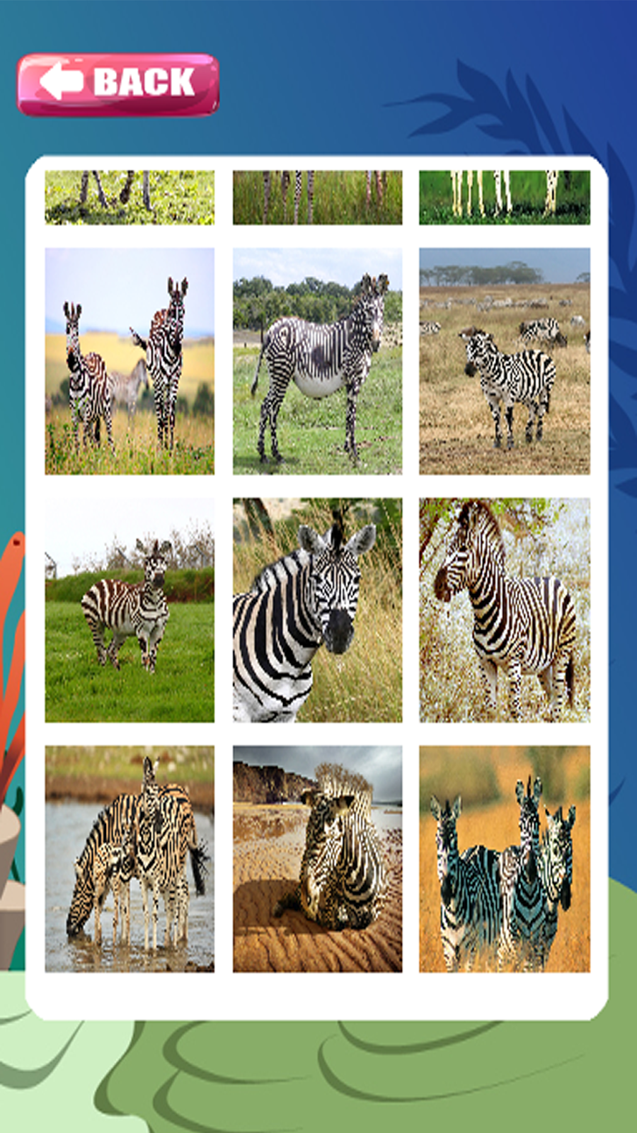 Puzzle Zebra Games And Jigsaw For Kids