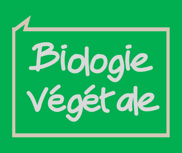 Cours et Résumé Biologie Végétale