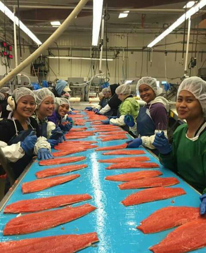 MEC&F Expert Engineers Togiak Fisheries Cannery worker James Schneider, 56, found dead after