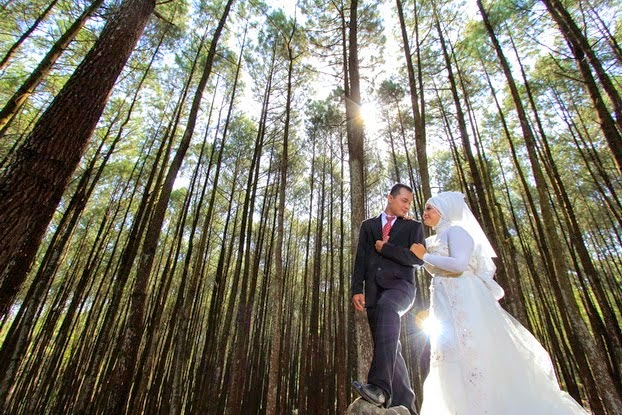 4. Hutan Pinus Imogiri, memiliki pohon - pohon yang begitu tinggi membuat kalian lebih romantis dengan nuansa yang berbeda.